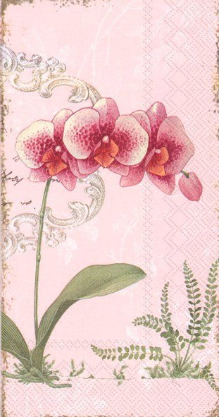 Orchid HOSTESS Napkins - Lemon And Lavender Toronto