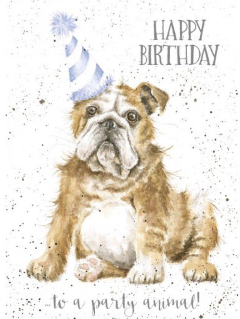 Party Animal Dog Birthday Card - Lemon And Lavender Toronto