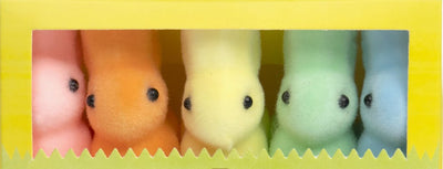 Pastel Mini Easter Bunnies🐇 - 5 Pack - Lemon And Lavender Toronto