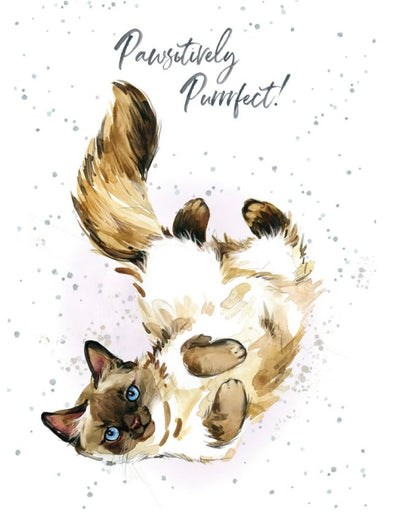 Pawsitively Purrrfect Cat Bday Card - Lemon And Lavender Toronto