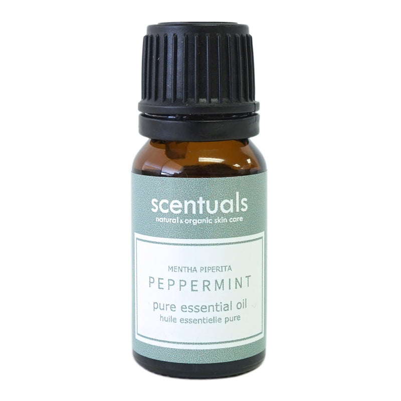 Peppermint Pure Essential Oil - Lemon And Lavender Toronto