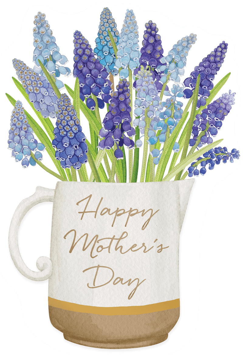 Pitcher Of Grape Hyacinth Mother&