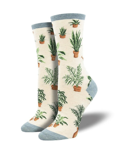 Plant Socks - Lemon And Lavender Toronto