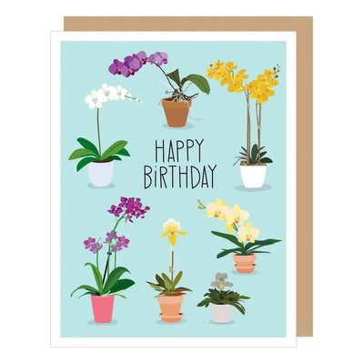 Potted Orchids Birthday Card - Lemon And Lavender Toronto