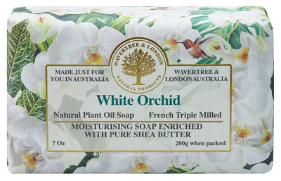 Pure Natural White Orchid - Lemon And Lavender Toronto
