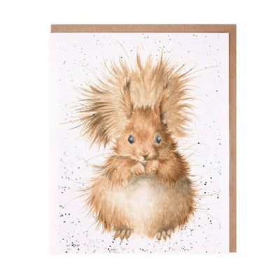 Redhead Squirrel Card - Lemon And Lavender Toronto