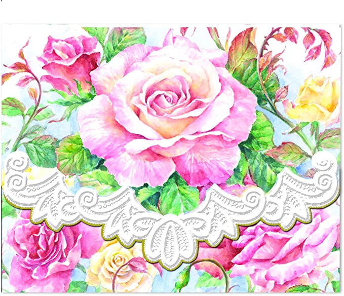 Roses in Bloom- 10 Pack of Portfolio - Lemon And Lavender Toronto