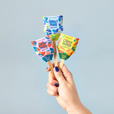 Seed Pops - Garden ( Sold Individually) - Lemon And Lavender Toronto