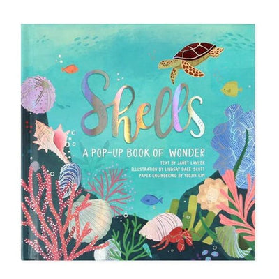 Shells: A Pop-Up Book of Wonder - Lemon And Lavender Toronto