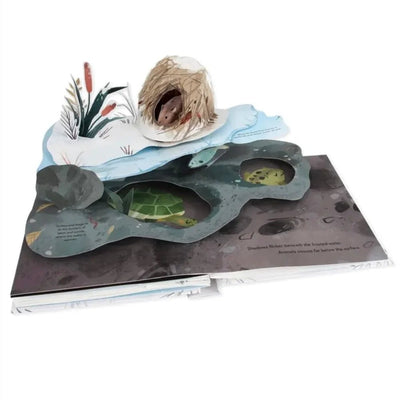 Snowscape: A Winter Pop-Up Book - Lemon And Lavender Toronto