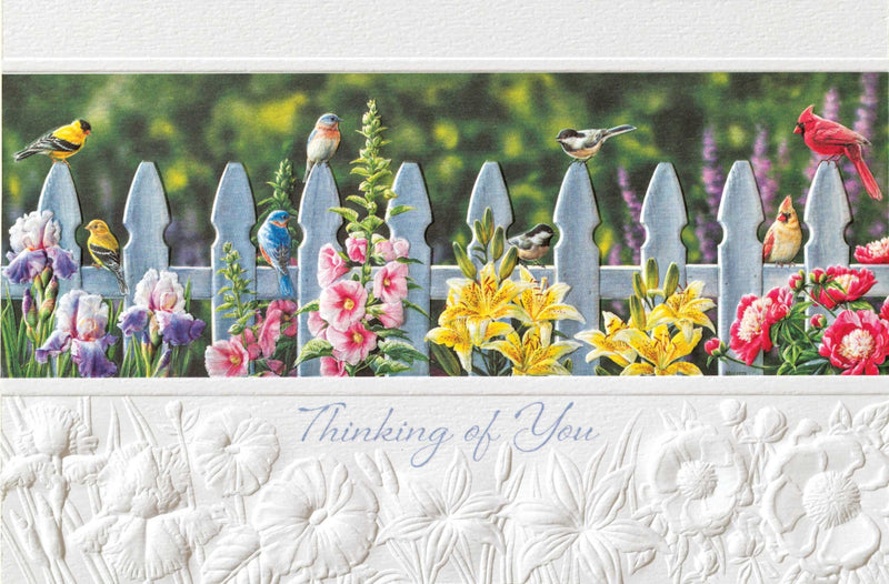 Songbird Meet Up Greeting Card - Lemon And Lavender Toronto