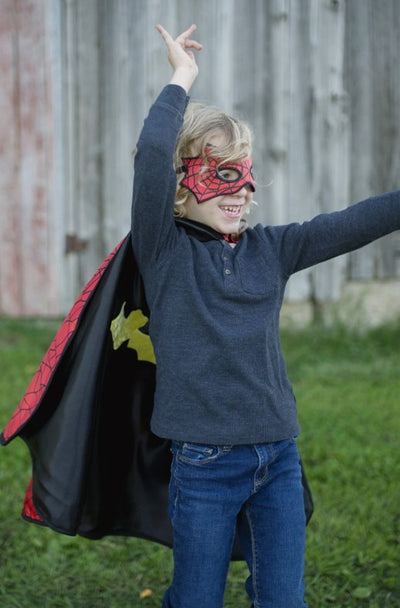 Spider or Bat Cape Reversible -2 Sizes Available - Lemon And Lavender Toronto