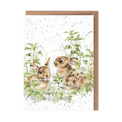 Spring Hares Card - Lemon And Lavender Toronto