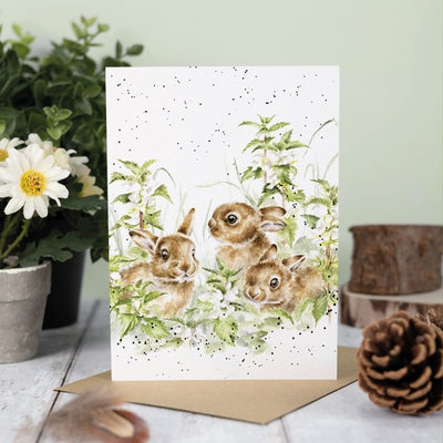Spring Hares Card - Lemon And Lavender Toronto