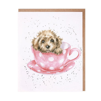 Teacup Puppy Card - Lemon And Lavender Toronto