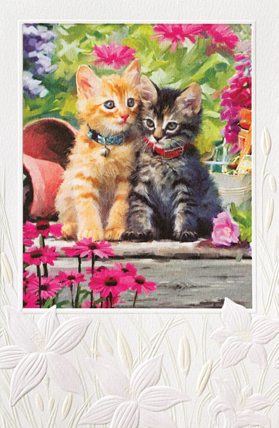 The Kitten’s Garden Greeting Card - Lemon And Lavender Toronto