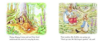 The Tale of Peter Rabbit Story Board Book - Lemon And Lavender Toronto