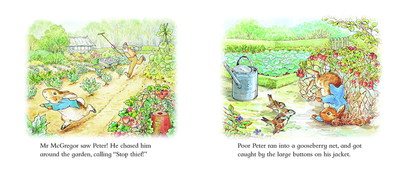 The Tale of Peter Rabbit Story Board Book - Lemon And Lavender Toronto