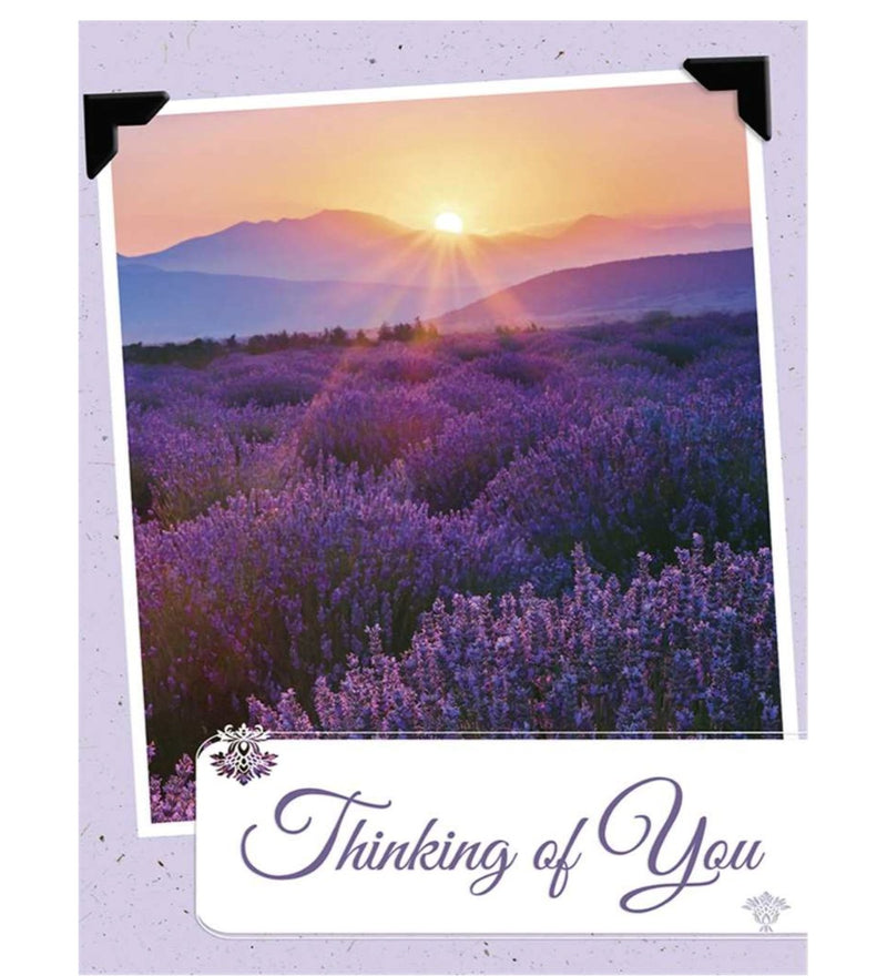 Thinking of you Card - Lemon And Lavender Toronto