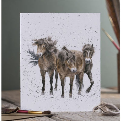 Three Amigos Horse Card - Lemon And Lavender Toronto