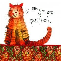 To me, you are Purrfect- Mini Card - Lemon And Lavender Toronto