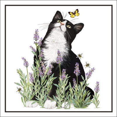 Tuxedo Cat with Butterfly Enclosure Card - Lemon And Lavender Toronto