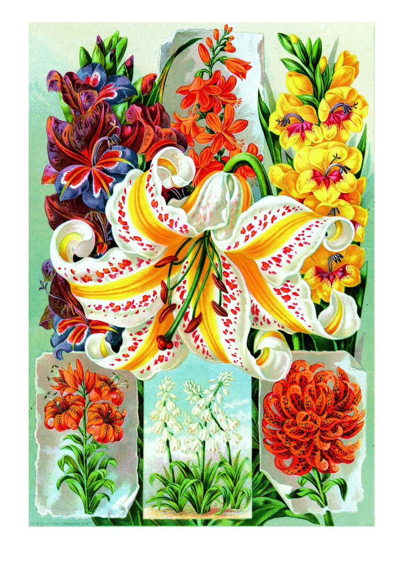 Vintage Flowers Greeting Card Box - Lemon And Lavender Toronto