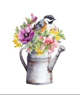 Watering Can with Flowers Card - Lemon And Lavender Toronto