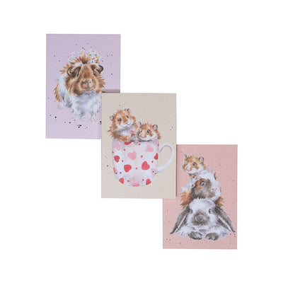 Whiskers and Paws Set of 3 Notebooks- Wrendale - Lemon And Lavender Toronto