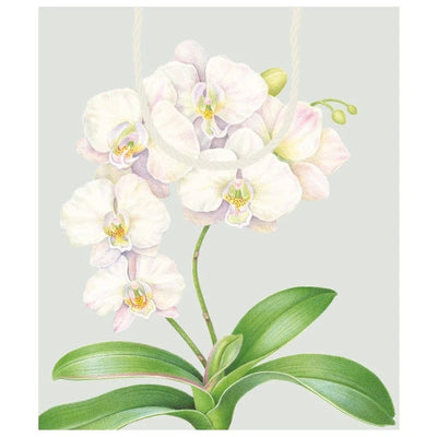 White Orchid Large Gift Bag - Lemon And Lavender Toronto