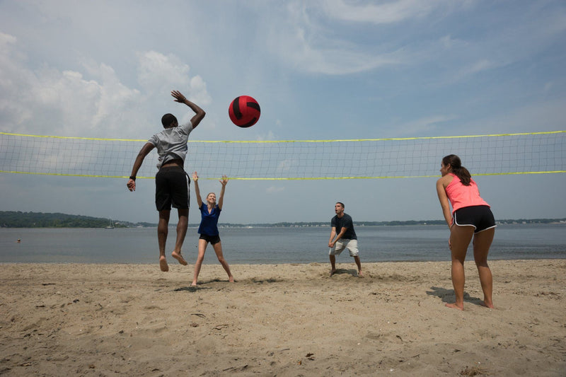 Wicked Big Sports® Volleyball - Lemon And Lavender Toronto