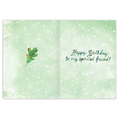 Wild Animals Birthday Card - Lemon And Lavender Toronto