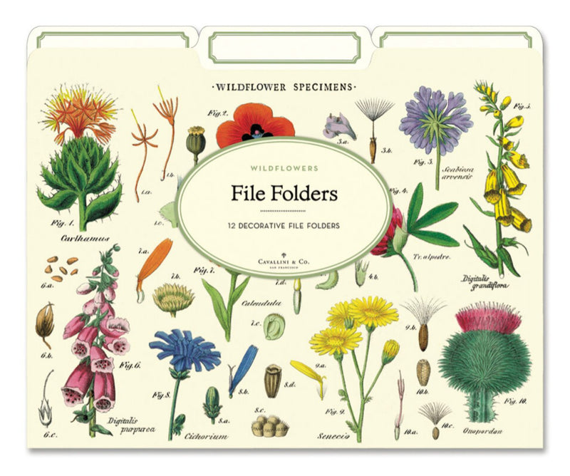 Wildflowers File Folders - Lemon And Lavender Toronto