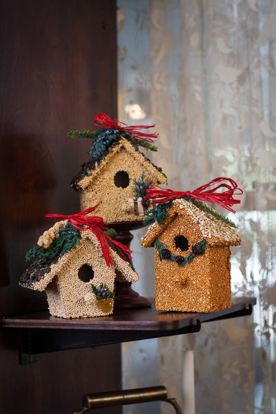 Winter Cottage - Lemon And Lavender Toronto