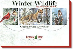 Winter Wildlife Card Assortment - Lemon And Lavender Toronto